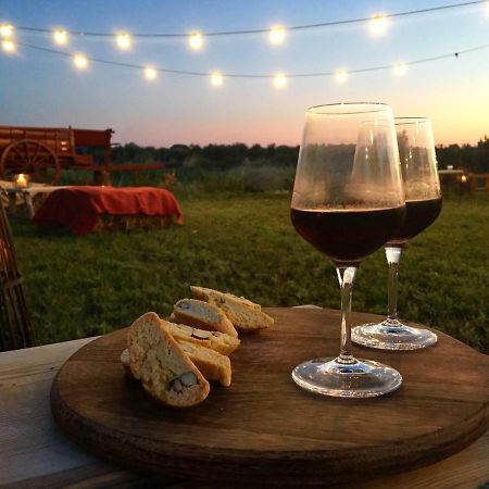 Agriturismo Quattro Pini กัสตาลเญโต การ์ดุชชี ภายนอก รูปภาพ