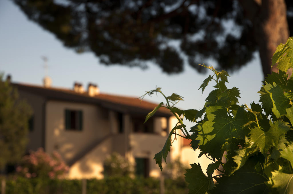 Agriturismo Quattro Pini กัสตาลเญโต การ์ดุชชี ภายนอก รูปภาพ