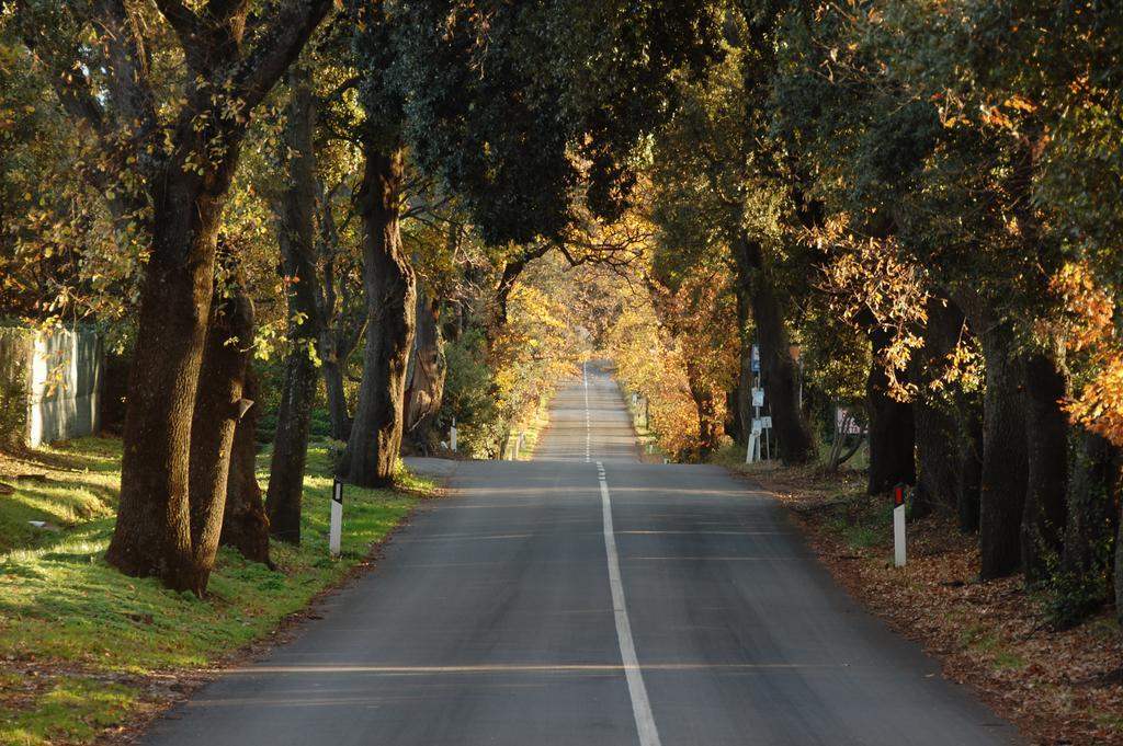 Agriturismo Quattro Pini กัสตาลเญโต การ์ดุชชี ภายนอก รูปภาพ