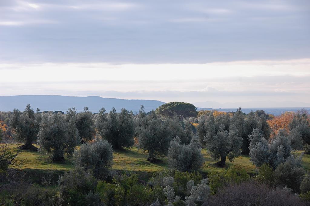 Agriturismo Quattro Pini กัสตาลเญโต การ์ดุชชี ภายนอก รูปภาพ